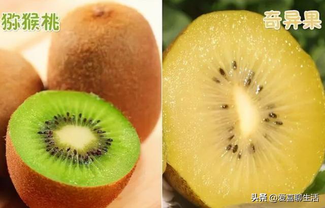 奇异果和猕猴桃是同一种水果吗答案（奇异果和猕猴桃是同一种水果吗_）