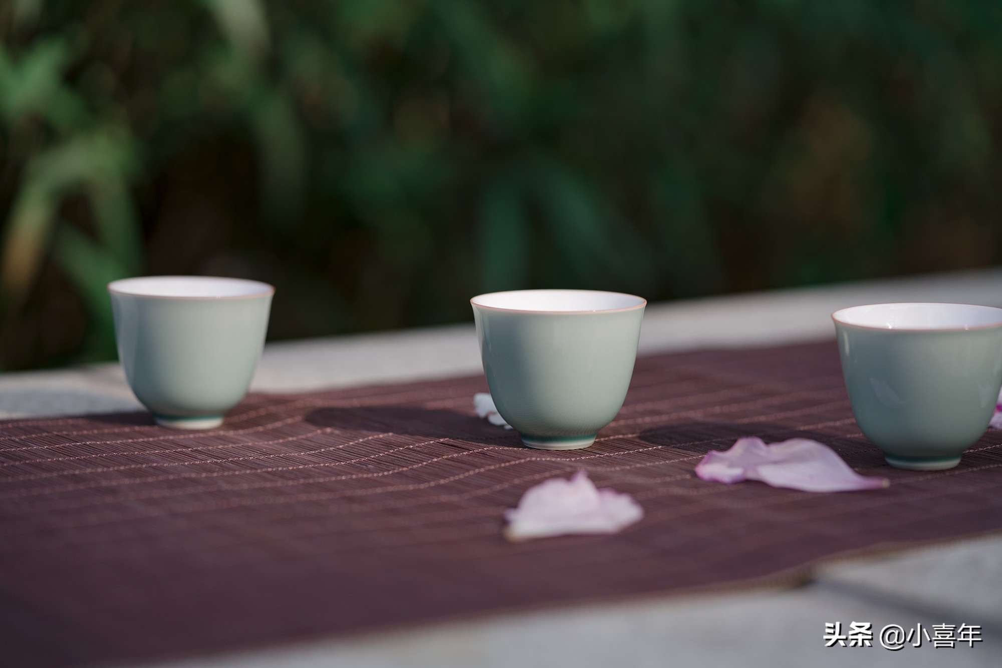 分享10句温柔的茶语，带你温暖整个春天